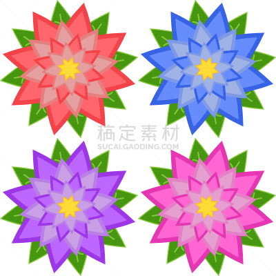 红色,粉色,紫色,四个物体,蓝色,白昼,自然,花,布置,收集
