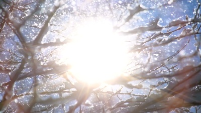 浪漫的冬季雪山树木自然景观全景