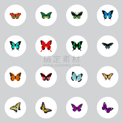 闪光蝶,黑脉金斑蝶,白色,创造力,鸡尾酒,黄色,华丽的,精工制品,虎斑凤尾蝶,写实