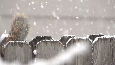 栅栏上的松鼠丹佛冬季暴风雪科罗拉多州附近