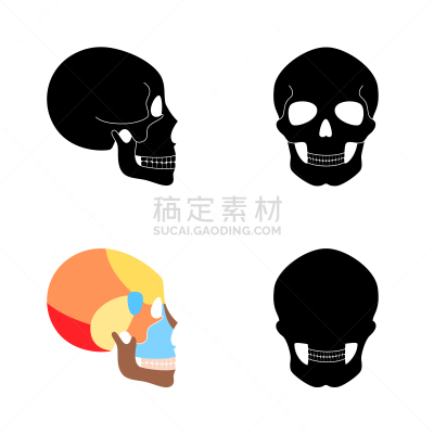 人头骨,侧面,怪异,背景分离,骷髅图,惊骇,简单,神经外科,头骨,图表