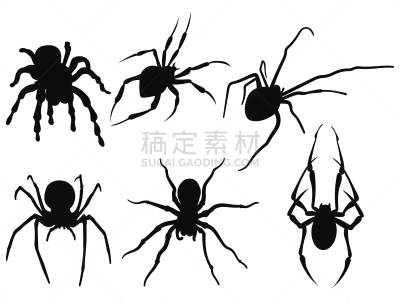 蜘蛛,黑白图片,恐惧症,怪异,暗色,野生动物,收集,布置