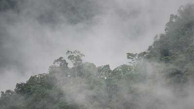   迷雾中的山