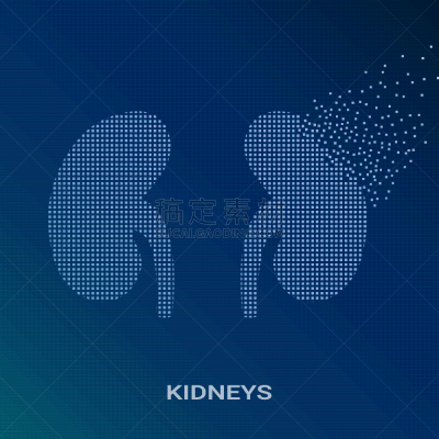 肾脏,人,抽象,生物学,健康保健,矢量,人类腺体,泌尿系统,透析过滤器,生病