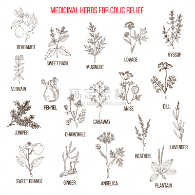 腹绞痛,草药,艾蒿,生物学,熏衣草,有机食品,自然,健康保健,草本,减轻