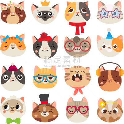 可爱的,猫,动物鼻子,人的脸部,动物头,家畜,纯种犬,肖像,哺乳纲,自然美