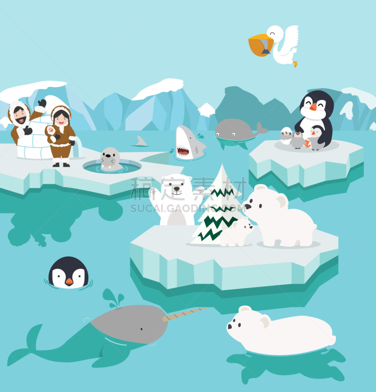 可爱的,卡通,北极,北极点,冰山,泰国,雪,哺乳纲,动物,鸟类