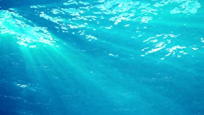 高质量的海浪动画从水下漂浮浮游生物。光线透过。大受欢迎的海洋背景高清，高清晰度 。