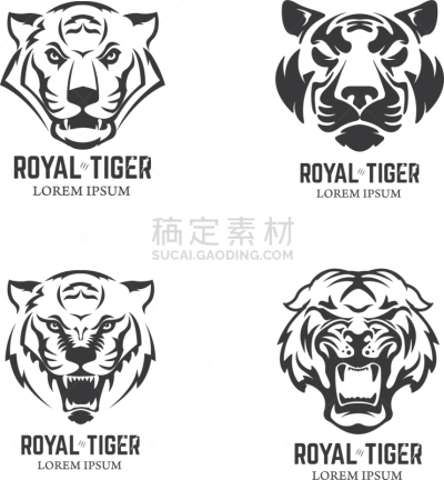 吉祥物,运动,式样,动物头,虎,分离着色,自然,猫,哺乳纲
