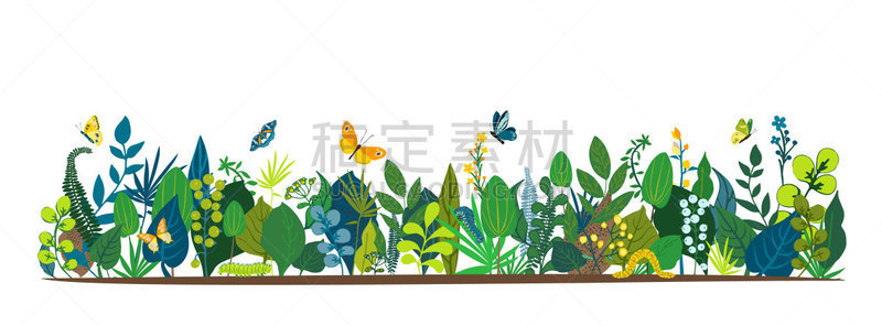 请柬,毛虫,婚礼,春天,夏天,绘画插图,全景,叶子,矢量