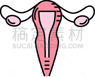 女性,输卵管,健康保健,人,图像,枝繁叶茂,女人