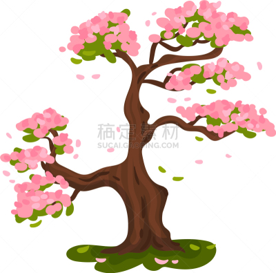 樱之花,草地,生物学,环境,公园,行星,植物,户外,花,剪影