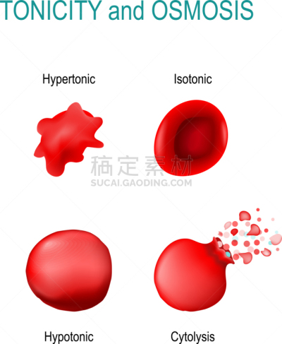 压力,生物学,专心,健康保健,平衡,动物,建造物,图像特效,测量,渗透