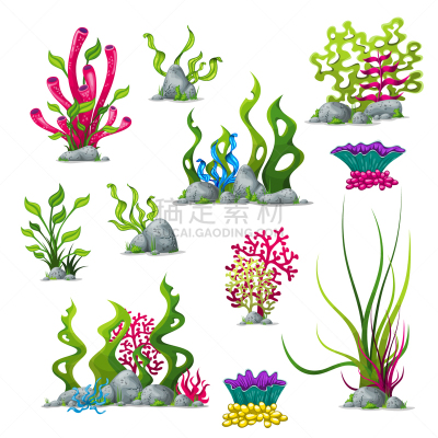 植物群,水下,反差,鸡尾酒,自然,图像,海洋,藻类,矢量,礁石