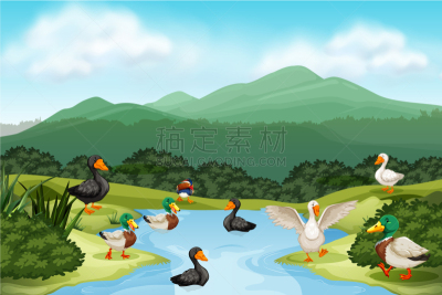 池塘,景象,鸭子,可爱的,图像,壁纸,植物群,草,鸟类,矢量