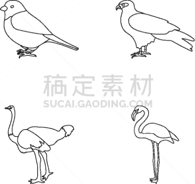 动物,鸟类,麻雀,轮廓,自然,图像,矢量,分离着色,蜘蛛网,收集