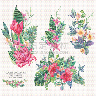 鸡尾酒,自然,水彩画,华丽的,纺织品,干酪藤,壁纸,花,复古,布置