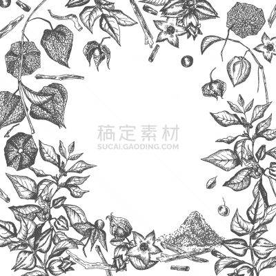 动物手,边框,式样,国境线,阿什瓦甘达,人参,插画,健康保健,印度草医学,绘制