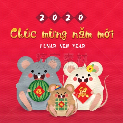 家庭,拿着,鼠,越南,鼠年,新年前夕,年糕,西瓜,越南新年,卡通