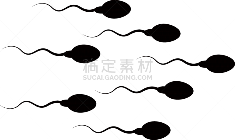 迅速,精子,靶子,卵子,疤,人,形状,概念,跑