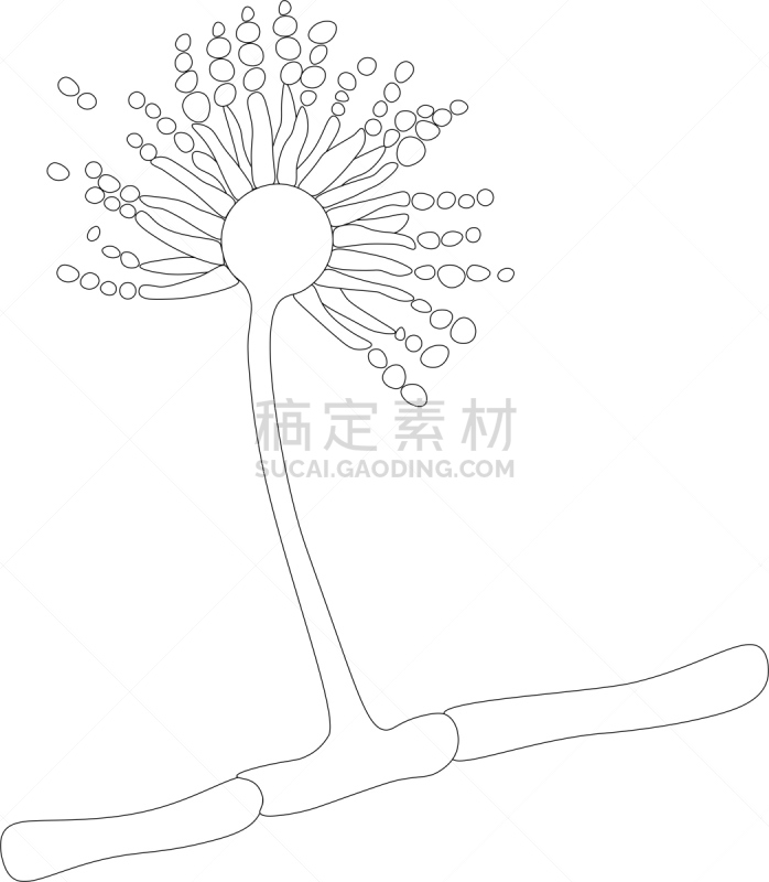 洒水器,湿,不卫生的,卫生,垂直画幅,泰国,图像,损坏的,肮脏的,过敏