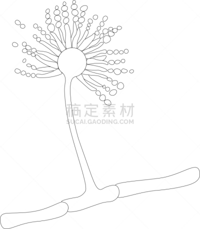 洒水器,湿,不卫生的,卫生,垂直画幅,泰国,图像,损坏的,肮脏的,过敏