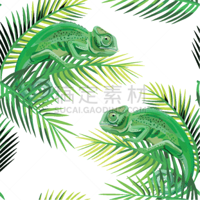 变色龙,四方连续纹样,香蕉叶,沙巴州,黄色,白色,绿色,式样,自然美,进攻
