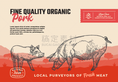 有机食品,肉,猪肉,抽象,品质,商务,计划书,清新,食品,猪