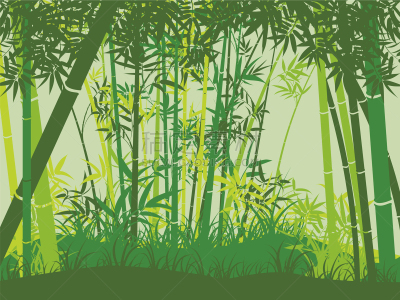 景象,竹林,分离着色,白色,亚洲,鸡尾酒,自然,热带雨林,风景,壁纸