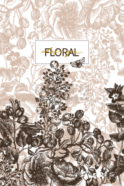 枝,花朵,野花,背景,季节,白色,直的,自然美,植物学,复古