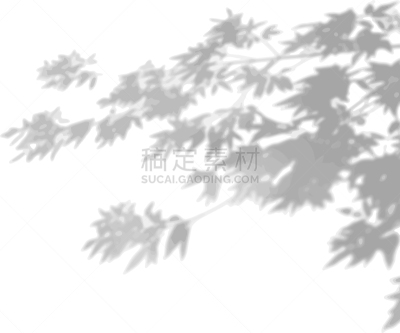 树荫,植物群,墙,热带气候,白色,环境,壁纸,阴影,植物,图像特效