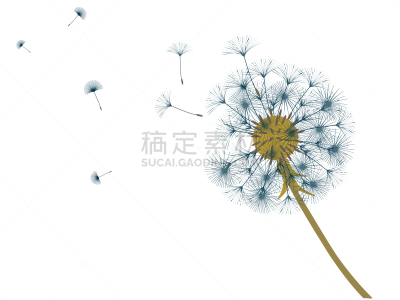 抽象,背景,过敏反应,清新,风,蒲公英,草,春天,品牌名称,吹