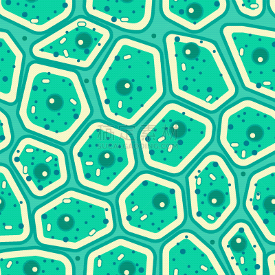 green plant cell layer seamless pattern