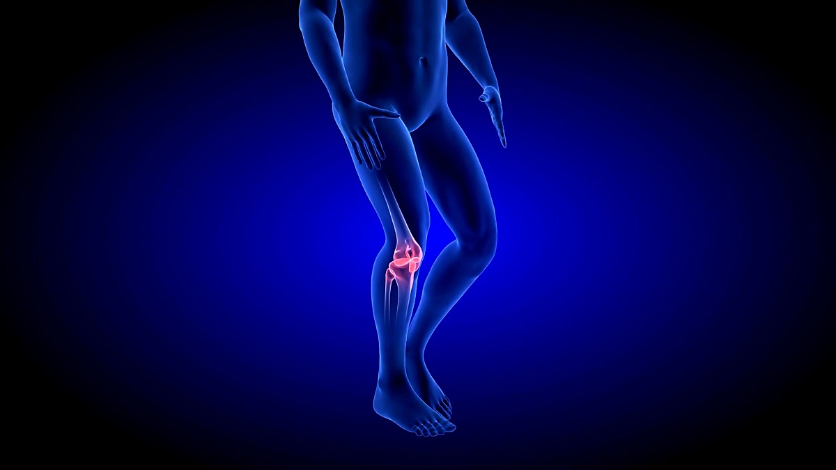膝盖疼痛动画。蓝色人体解剖体3D扫描渲染