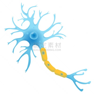 建造物,神经元,平坦的,生物学,华丽的,微生物学,健康保健,简单,沟通,思考