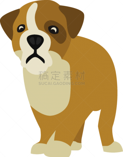 狗,小的,可爱的,纯种犬,梗犬,巴哥犬,哺乳纲,动物,腊肠犬,站