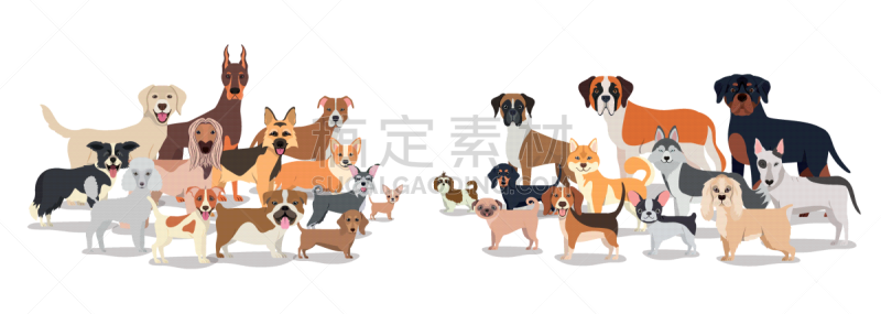 动物群,狗,性格,宠物,分离着色,可爱的,纯种犬,概念,图像,爱