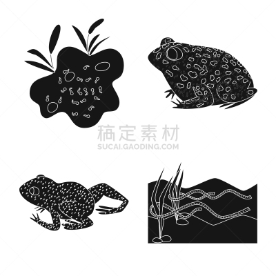 动物,爬行纲,分离着色,一个物体,品牌名称,野生动物,池塘,草,牛蛙,湖