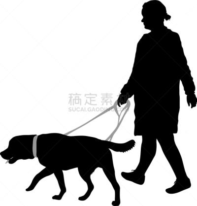 狗,女人,白色背景,纯种犬,梗犬,动物,斯班尼犬,剪影,坐,训练