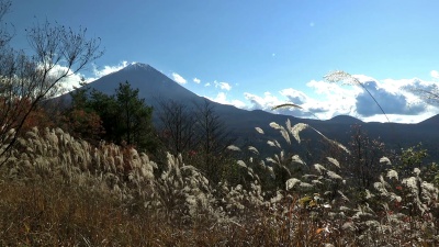 日本山梨富士山的秋季景观
