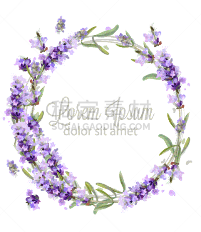 熏衣草,水彩画,贺卡,月桂花冠,婚礼,春天,装饰物,花,问候,复古