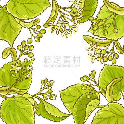 欧锻树,边框,分离着色,白色,自然,健康保健,草本,花朵,植物群,枝