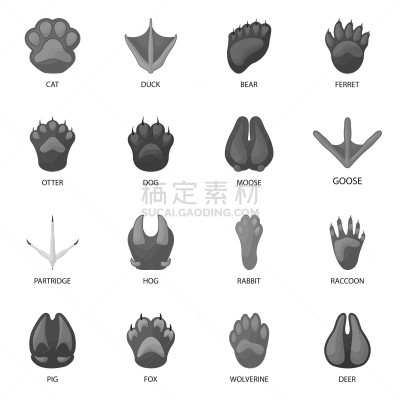 野生动物,脉搏图,标志,脚印,灰色,宠物,图像,矢量,收集,设计