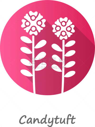 candytuft pink flat design long shadow glyph icon