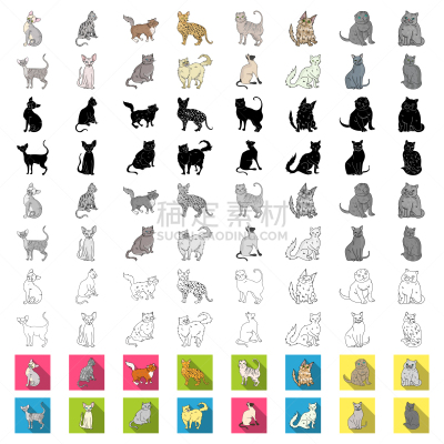 猫,卡通,计算机图标,可爱的,纯种犬,沙尔特勒猫,哺乳纲,动物,收集