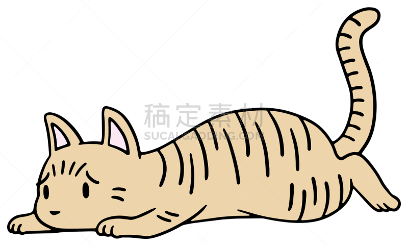 矢量,绘画插图,猫,惊骇,十二生肖,恐怖,简单,动物,宠物商店