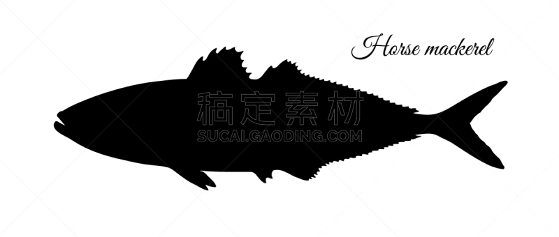 马鲛鱼,分离着色,自然,肉,白色背景,海产,清新,食品,剪影,烹调