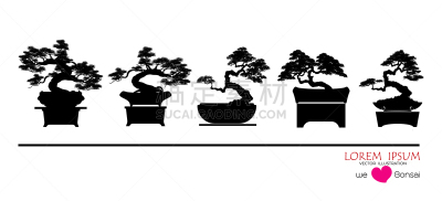 盆景,传统,环境,小的,自然美,植物,木制,布置,剪影