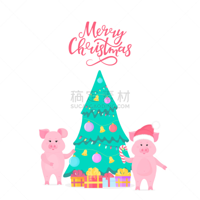 可爱的,猪,杉树,文字,2019,小猪,两只动物,新年前夕,动物手