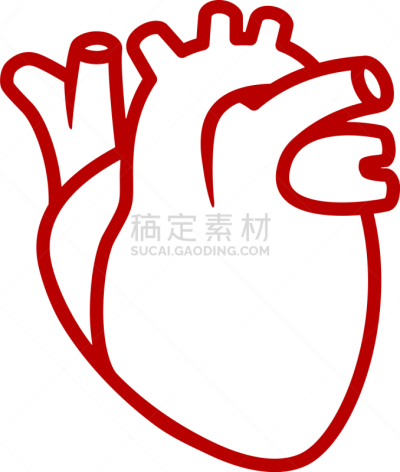 线条画,计算机图标,动物心脏,干净,平坦的,分离着色,健康保健,人,热情,写实